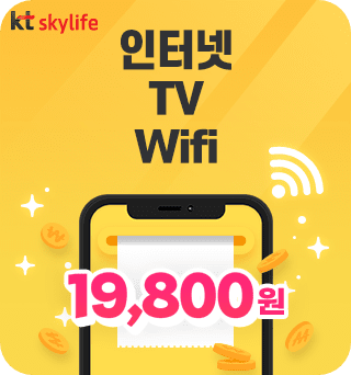 인터넷 TV Wifi 19,800원